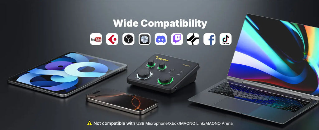 MAONO PS22 Lite USB Audio Interface for PC XLR Input Portable Recording Streaming Equipment Sound Card for Music Guitar DAW