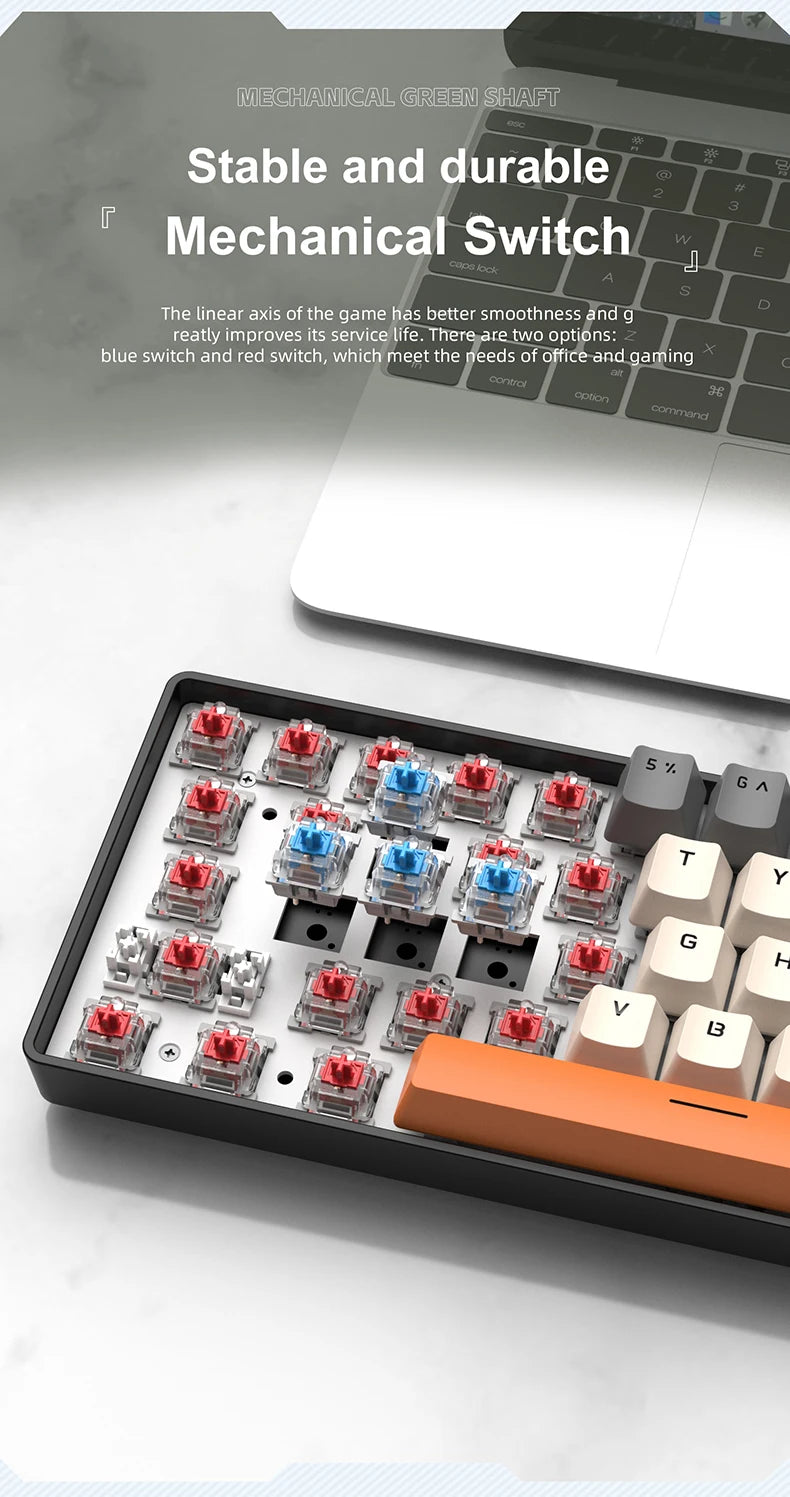 APAYADO K61 Mini Mechanical Keyboard,Wired,61 Keys,Phantom RGB, Black/White Red/Blue Mechanical Switch for Gaming,60% Portable