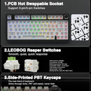 AULA F75 Wireless Game Mechanical Keyboard RGB Customized 75% Layout Side-engraving Gasket Mounted PBT Gradient Keycaps Keyboard