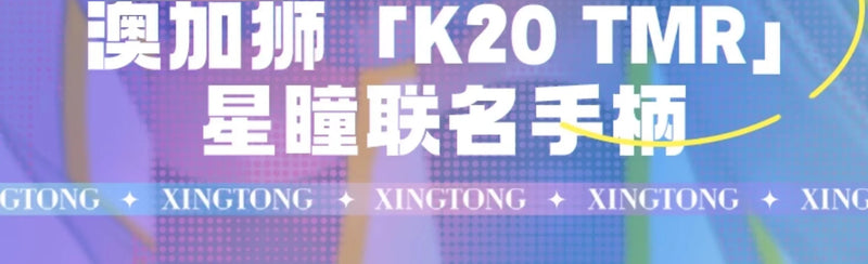 AOLION K20 Wireless Gaming Controllers TMR Joystick Replaceable Magnetic Shell Gamepads Custom For PC NS2 Steam Gamer Gfits